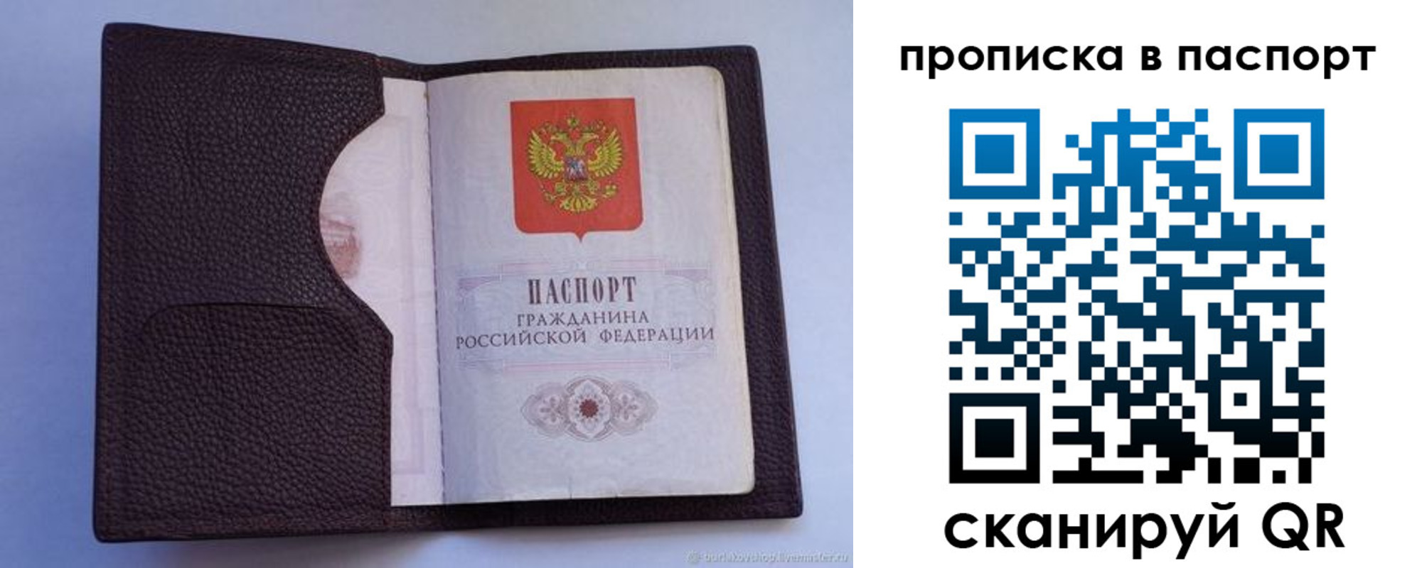 прописка законно в Полярных Зорях